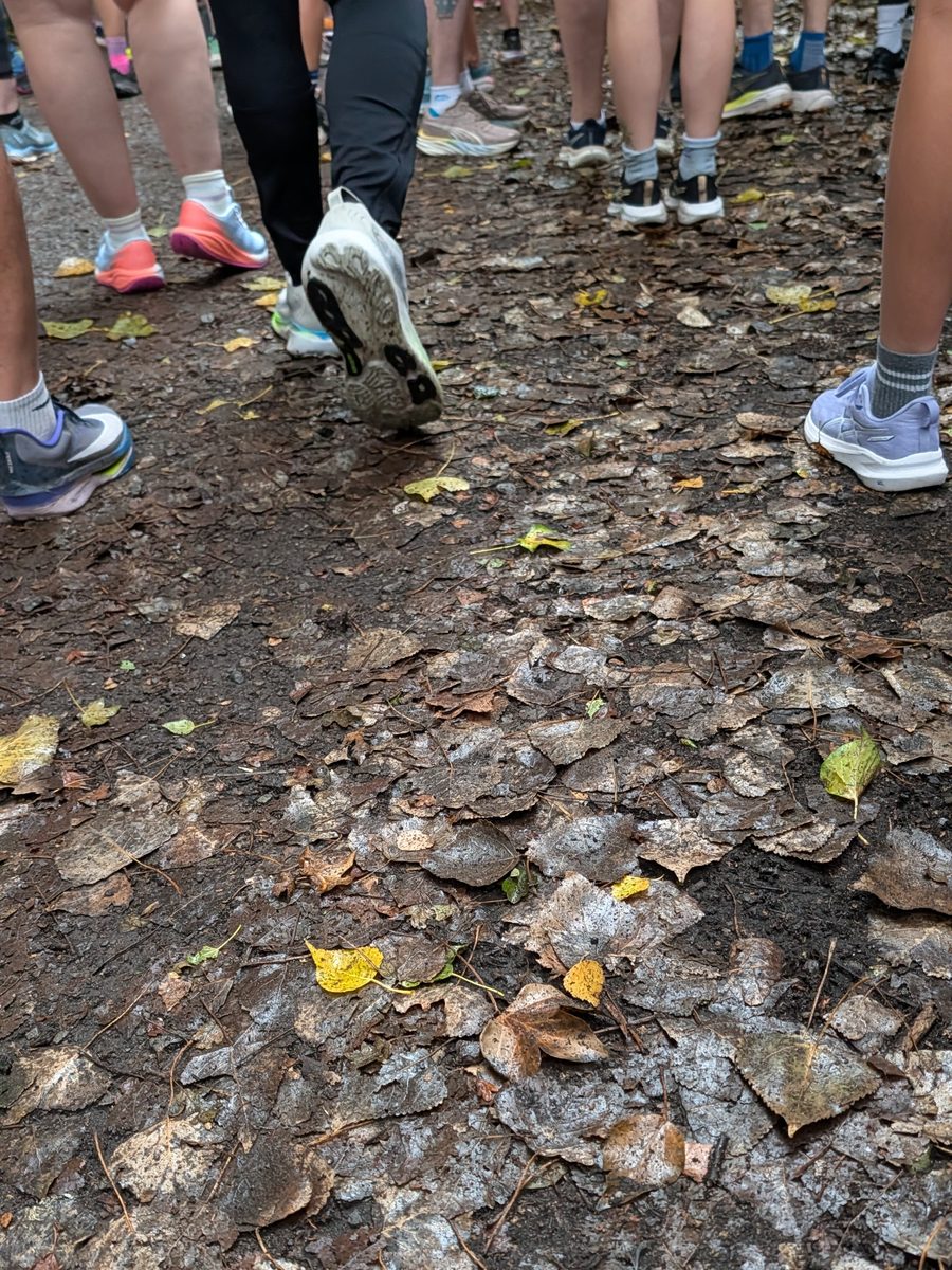Mud and leaf litter on the tarmac path at Isabel Trail parkrun after wet weather, with runners' feet visible