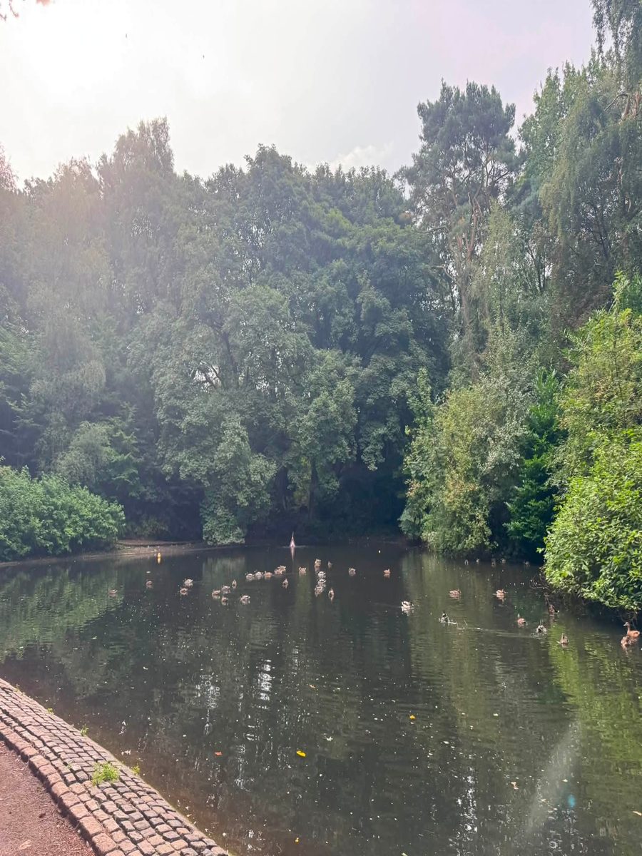 The duck pond at Williamson Park on the Lancaster parkrun course, with ducks on the water and a cobbled path edge