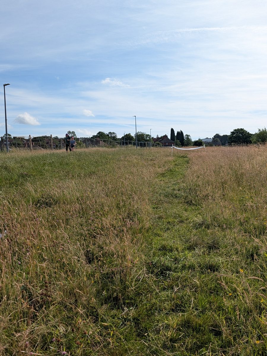 Mown grass path through the open parkland at Vale Park parkrun