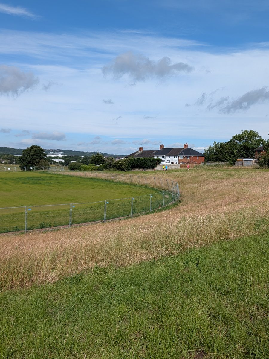 Wildflower meadow section of the Vale Park parkrun course