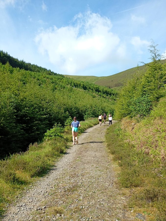 Runners climbing the gravel trail at Whinlatter Forest parkrun