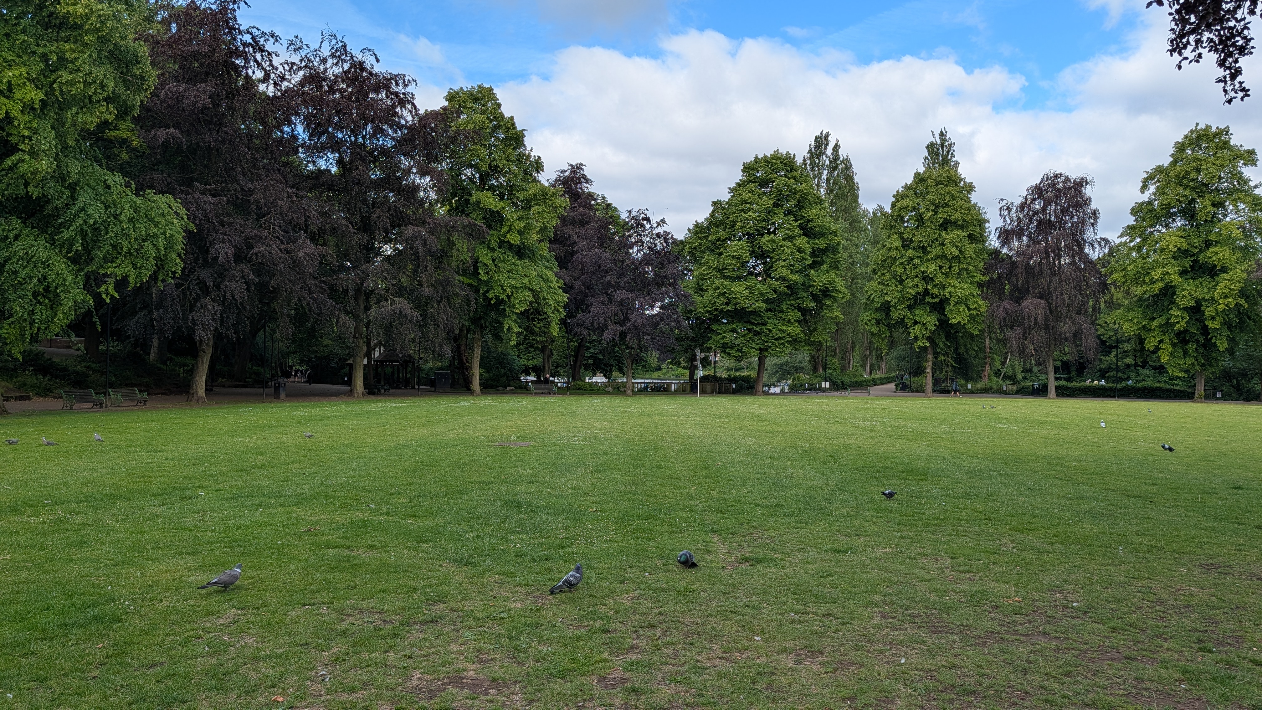Open parkland and mature trees at Walsall Arboretum on a summer morning