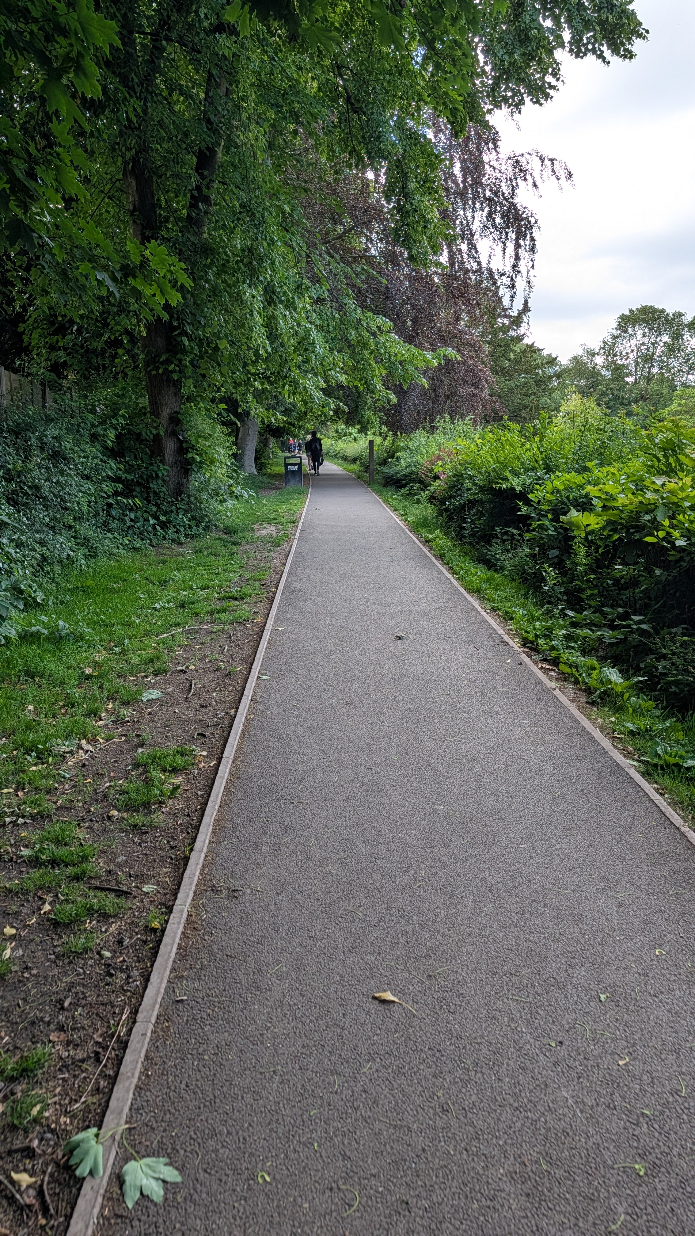 Tarmac path through green trees at Walsall Arboretum parkrun